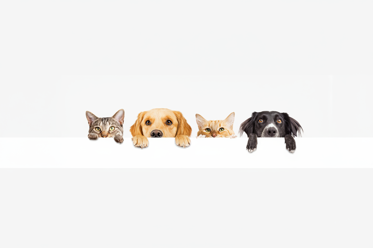 Padded pet banner no black bars